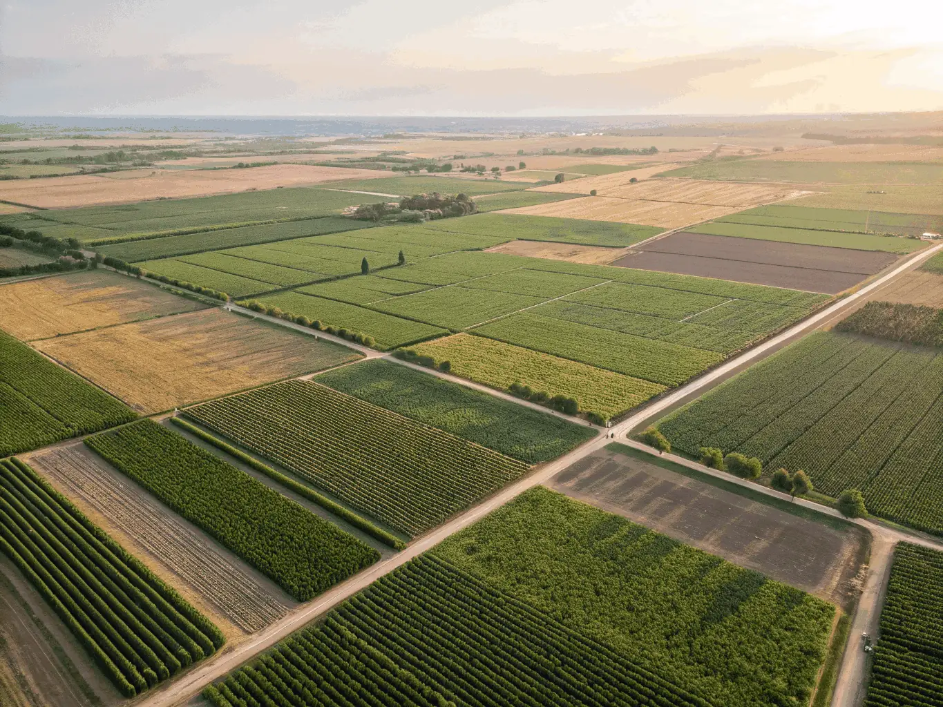A picturesque view of Tulare's agricultural landscape, featuring lush fields and a clear blue sky. The image should evoke a sense of tranquility and rural beauty.